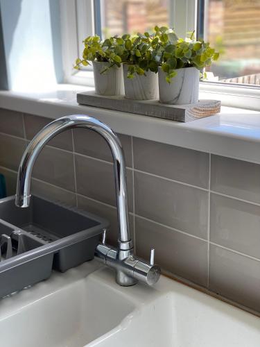 a kitchen sink with two potted plants on a window sill at Springfield Retreat in Risca