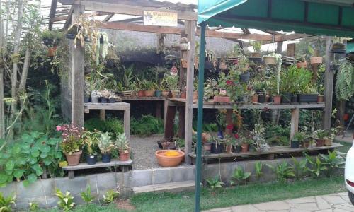 a greenhouse filled with lots of plants and potted plants at Pouso Realeza in Tiradentes