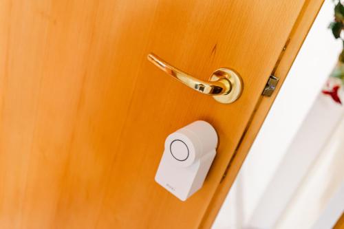 a wooden door with a lock on it at Heimeliges Apartment in den Bergen in Bad Kleinkirchheim