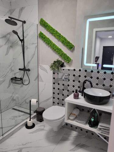La salle de bains est pourvue de toilettes, d'un lavabo et d'un miroir. dans l'établissement Dacrilo Apartments Cluj-Napoca 11, à Cluj-Napoca