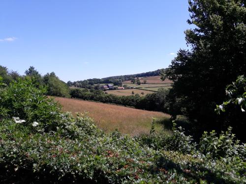 a view of a hill with trees and a field at Studio Au jardin fleuri in Verviers