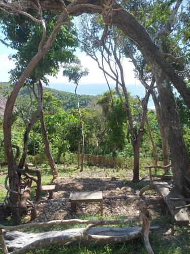 a park with a picnic table and trees at OcamOcam Azur Inn in Busuanga