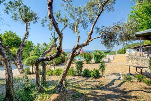 a park with a tree and a bench at Vilajoun in Joucas