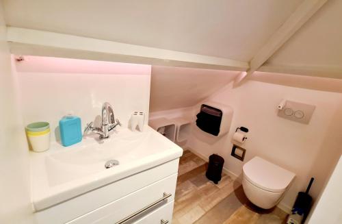 une salle de bain avec un lavabo et des toilettes dans l'établissement The Blue Dodo, à Zandvoort