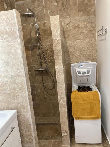 une salle de bain avec douche et toilettes dans l'établissement Charmant Studio dans villa - parking - jardin, à La Seyne-sur-Mer