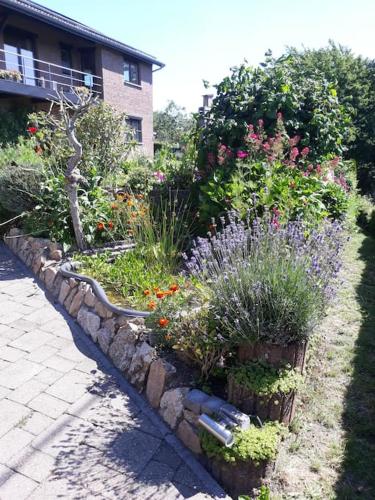 a garden with flowers and plants in front of a building at Studio Au jardin fleuri in Verviers