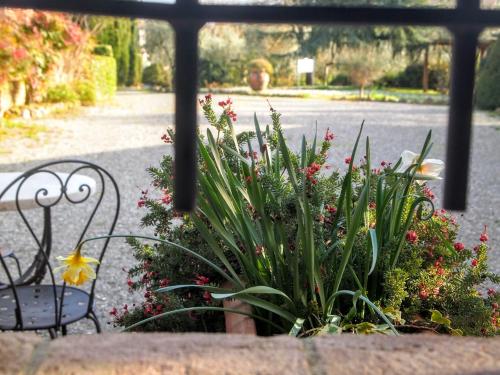 a plant in a flower pot next to two benches at L'Aia Country Holidays in Siena