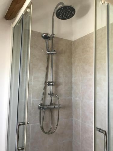a shower with a shower head in a bathroom at La Grange Mignonne 