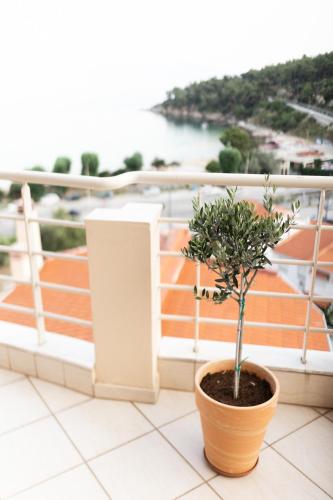 Gallery image of Bellevue Homes in Kavala