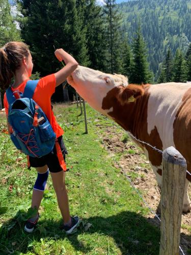 a young girl petting a brown and white cow at Hotel Alpina in Kleinarl
