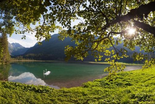 a lake with a white object in the water at Hotel Alpina in Kleinarl