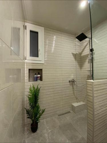 a bathroom with a shower with a plant in it at ILoveHome Grez in Kalamata