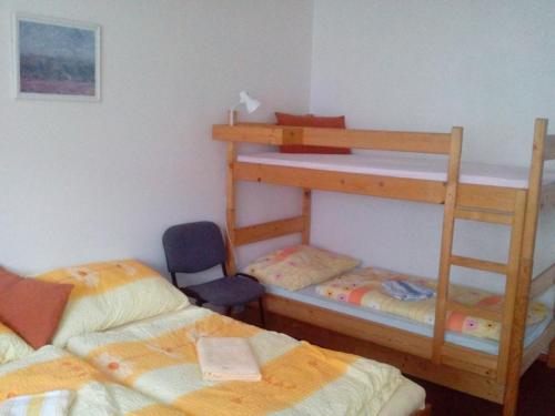En eller flere senge i et værelse på Ubytování v Mladých Bukách