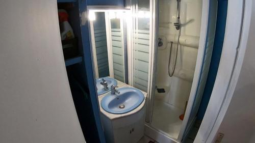 a bathroom with a sink and a shower at Les margouillats - maisonnette à 2 pas de la plage in Vias