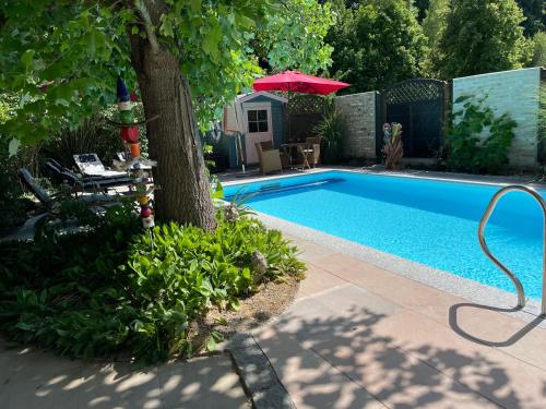 a swimming pool with a tree and an umbrella at Schöne Wohnung mit Pool und Sauna zum Wohlfühlen in Oberhausen