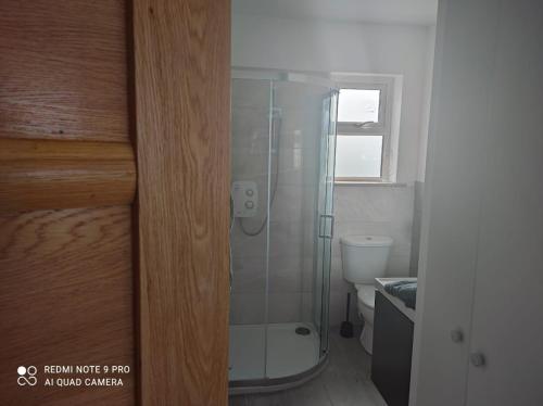 a bathroom with a glass shower with a toilet at The Wild Farm Lodge in Mullingar
