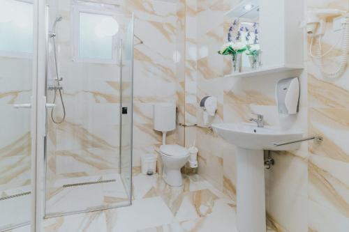 a bathroom with a shower and a toilet and a sink at Aqua Metropol in Baile Felix