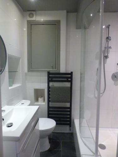 La salle de bains est pourvue de toilettes, d'un lavabo et d'une douche. dans l'établissement Cadair Idris, à Criccieth
