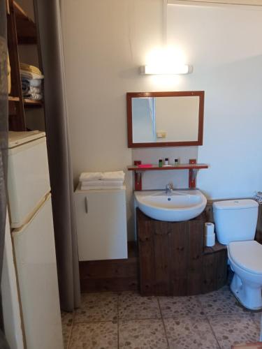 a bathroom with a sink and a toilet at Le Tuléar - Résidence Gandhi in Saint-Pierre