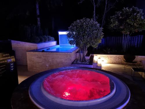 a large pool of red water in a yard at night at Elexus Predeal in Predeal