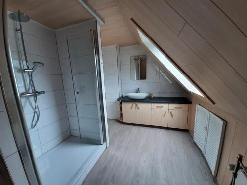 an attic bathroom with a shower and a sink at Das Vogelhaus in Hemfurth-Edersee