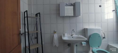 małą łazienkę z toaletą i umywalką w obiekcie San Giorgio w mieście Litochoro
