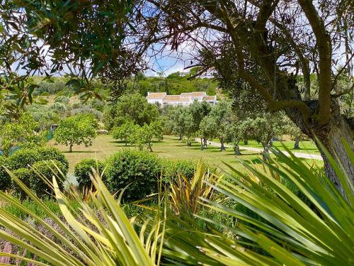 a view of a park with trees and bushes at Vila Valverde Design Country Hotel in Luz
