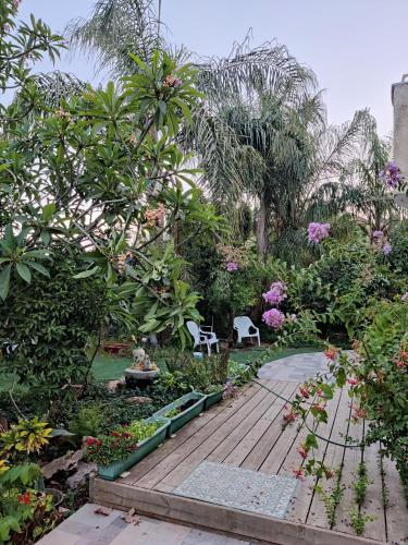 a garden with a wooden walkway and trees and flowers at בית מרום in Gan Shomeron