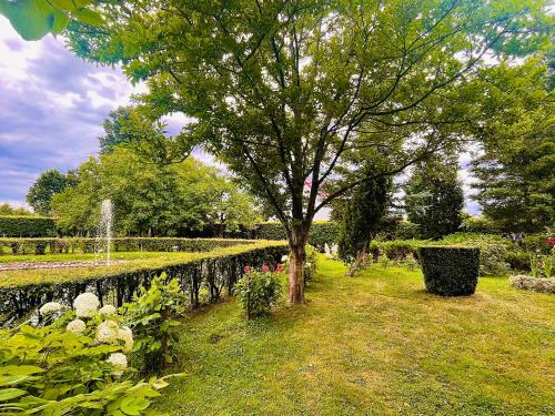 a garden with a tree and a stone wall at Agroturystyka Szerokopaś in Nidzica
