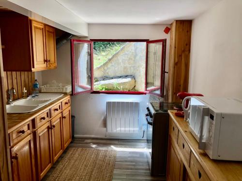 uma cozinha com uma janela, um lavatório e um micro-ondas em CHARMANT CHALET dans les monts du Forez em Le Fayt