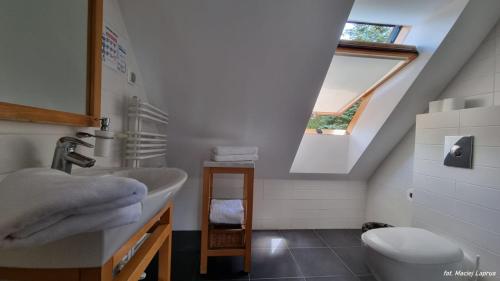 baño con lavabo y aseo y ventana en Vertigo Narie, en Morąg