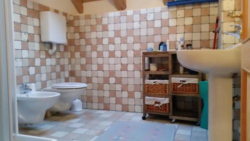 a bathroom with a toilet and a sink at Chalet La Nos in Molina di Ledro