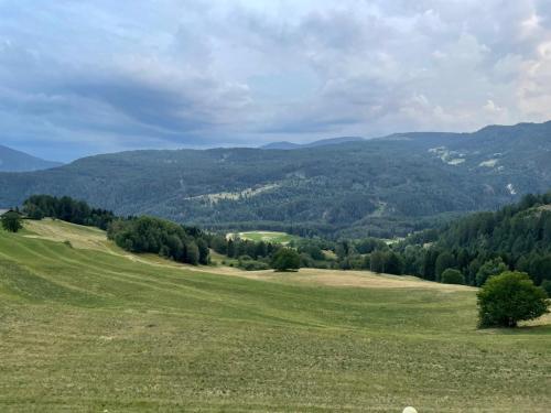 a green field with trees and mountains in the background at La casa di Grace nella valle incantantata in Carano