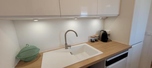 una cocina con fregadero blanco y un tazón verde en Superbe appartement Arcachon, en La Teste-de-Buch