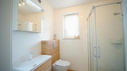 ein Bad mit einem WC, einem Waschbecken und einer Dusche in der Unterkunft Apartamenty EverySky - Waryńskiego 1b in Szklarska Poręba