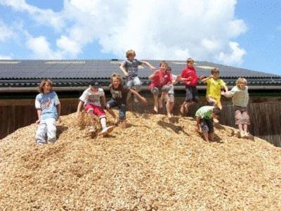 a group of children standing on top of a pile of hay at Espi-Stables Ferienhof Esterhammer in Liebenau