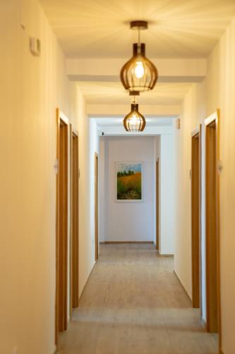 Imagen de la galería de Lago Hotel, en Ohrid