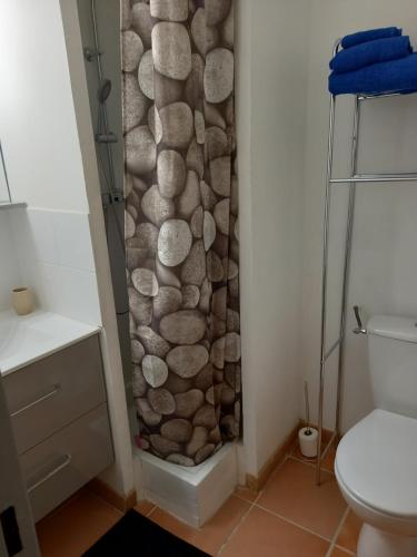 une salle de bain avec un rideau de douche et des toilettes dans l'établissement Studio cocooning centre historique d Avignon, à Avignon