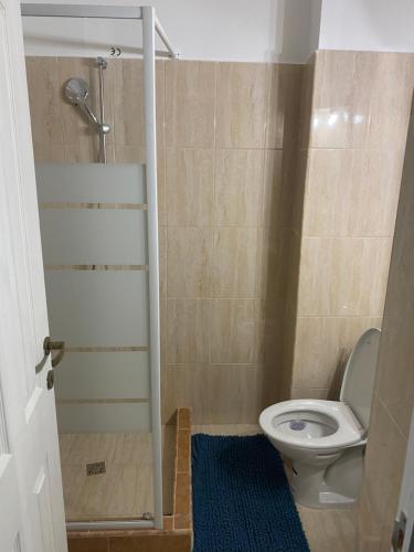 a small bathroom with a toilet and a shower at Vila Geany in Băile Herculane