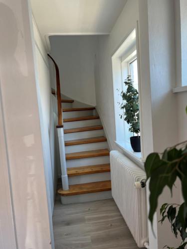 a staircase in a home with white walls and wooden floors at Hyggelig lejlighed in Bindslev