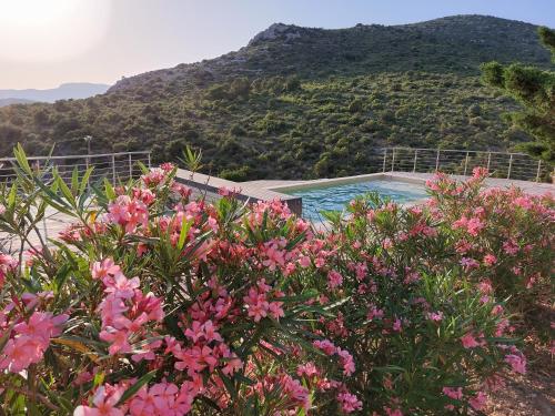 a pool with pink flowers in front of a mountain at Lodge avec vue imprenable ! in Vingrau