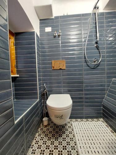 a blue tiled bathroom with a toilet and a shower at La casa di Zefiro in Corniglia