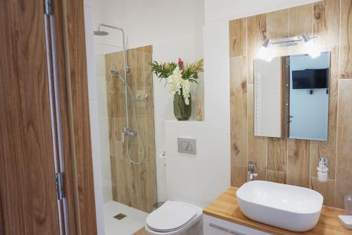 Willa Vanilla في فيسلا: حمام مع دش ومرحاض ومغسلة
