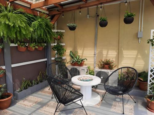 a patio with two chairs and a table and potted plants at Hotel Boutique Malibu Los Sueños in Tigre