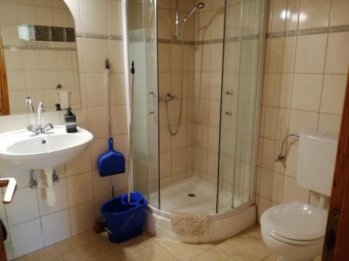 a bathroom with a shower and a toilet and a sink at Flóra Apartmanok in Kehidakustány