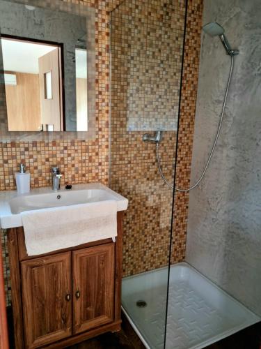 een badkamer met een wastafel en een douche bij Študio PARADISE in Santovka