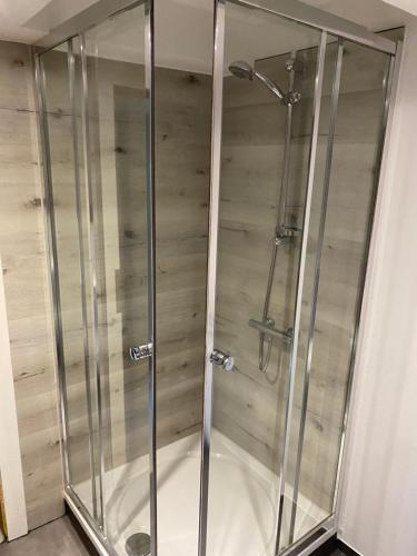 W łazience znajduje się prysznic ze szklanymi drzwiami. w obiekcie Haus Ebenberghof w mieście Zell am See