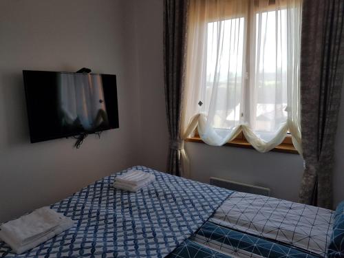 ein Schlafzimmer mit einem Bett und einem TV an der Wand in der Unterkunft Gaga apartman Zlatibor in Zlatibor