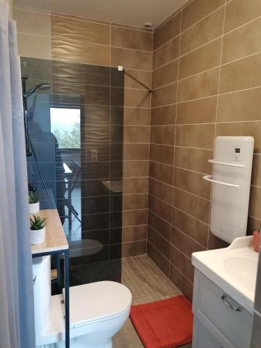 une salle de bain avec une douche avec des toilettes et un lavabo dans l'établissement Entre Perigueux et Bergerac, à Vergt
