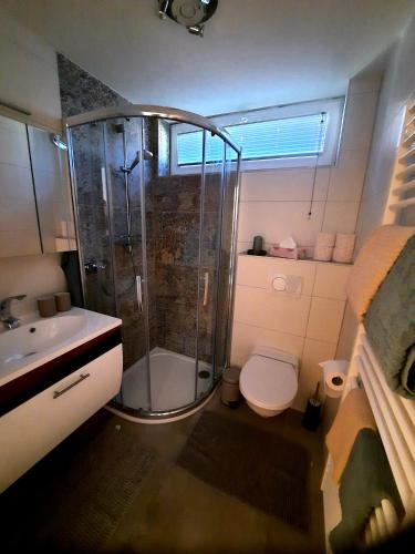 a bathroom with a shower and a toilet and a sink at Zirbennest in Ebene Reichenau